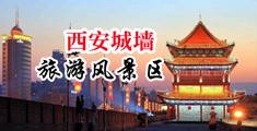免费看欧美草逼视频中国陕西-西安城墙旅游风景区